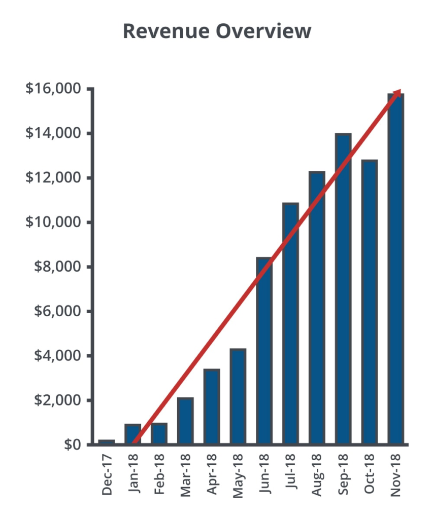 revenue overview