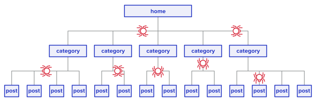 spiders crawling website